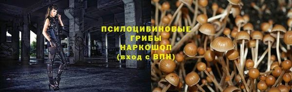 Альфа ПВП Семилуки