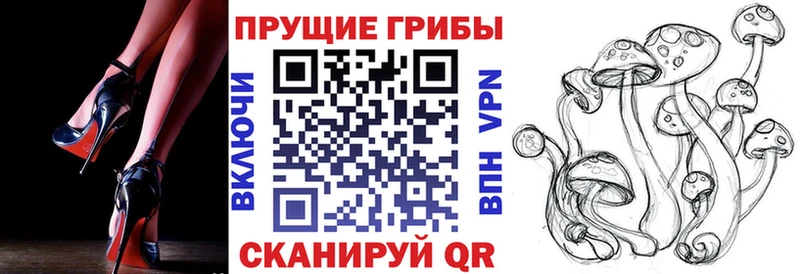 Купить  Шали  Псилоцибиновые грибы мицелий 